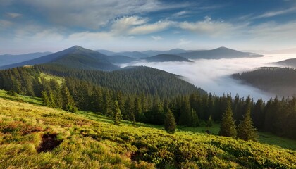 Obraz premium foggy mountain landscape with carpathian mountains in ukraine foggy mountain landscape carpathian ukraine misty