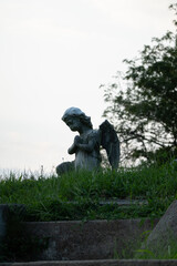 A serene statue of a kneeling angel in prayer, surrounded by lush grass. The peaceful scene captures the essence of tranquility and spirituality against a soft, natural backdrop