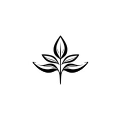 Elegant Minimalist Botanical Leaf Design: Black and White Floral Illustration, Perfect for Logos, Prints, and Decor