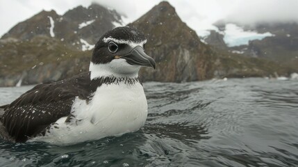 Promoting wildlife protection on earth day at ocean view a call for peace and conservation