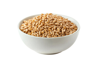 A Bowl of Sprouted Wheat or Barley Grass Symbolizing the Power of Natural Healing isolated on transparent background.