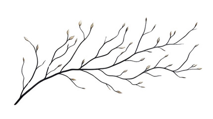 Fototapeta premium Dry tree branch on transparent background 