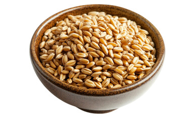 A Bowl of Sprouted Wheat or Barley Grass Representing Strength and the Benefits of Superfoods isolated on transparent background.