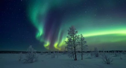 Fotobehang A serene tundra landscape with frost-covered trees shimmering under the aurora borealis © Kenny