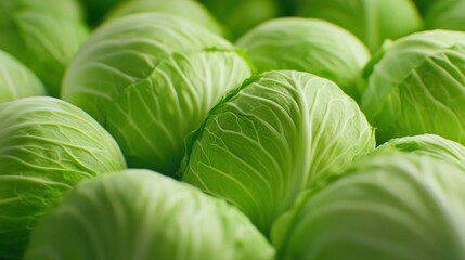 Fototapeta premium A pile of green cabbages on top of another pile in the center of the image