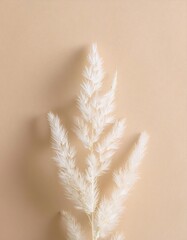 Minimalist White Plant Branch on Soft Pastel Beige Background