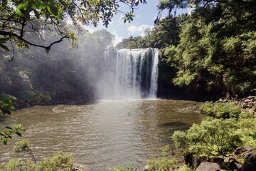 Naklejka premium Stunning waterfall cascading into a tranquil pool, surrounded by lush greenery. Nature's beauty. Rainbow Falls, Kerikeri, Northland, NZ
