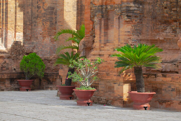 Po Ngar Cham Towers in Nha Trang