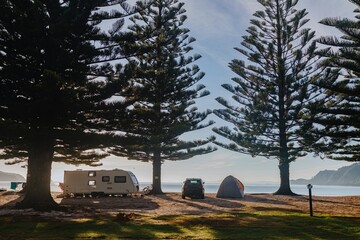 Peaceful beach campsite. RV, car, and tent under tall pines. Coastal morning light. , Matauri Bay, Northland, NZ