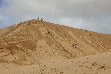 Three people sandboarding down a steep sand dune. Fun in the desert. Te Paki Giant Sand Dunes, Cape Reinga, Northland, NZ © Zenstratus