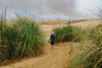 Solo hiker explores the dunes, surrounded by tall grass. Nature lover enjoying the landscape. Te Paki Giant Sand Dunes, Cape Reinga, Northland, NZ