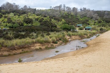 Picnic area and creek with people enjoying the outdoors. Visitors relax and play near the water. Te Paki Giant Sand Dunes, Cape Reinga, Northland, NZ © Zenstratus