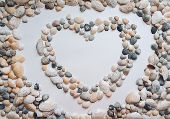 The symbol of the heart is laid out from seashells on a white background. Natural texture, copy space, layout. Top view. The concept of cardiology and the benefits of marine recreation.