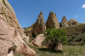 Fototapeta premium Turkey - Cappadocia - Red Valley