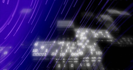 Binary code and data processing image over digital grid with purple lines