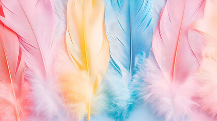 Obraz premium Pastel feathers arranged on light blue background; design element