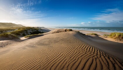Naklejka premium road to the sea