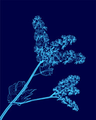 Blue flower with a stem is shown in a blue background. The flower is drawn in a stylized way, with its petals and stem appearing to be made of lines