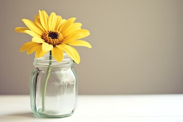 Fototapeta premium Beautiful Yellow Flower in a Glass Jar