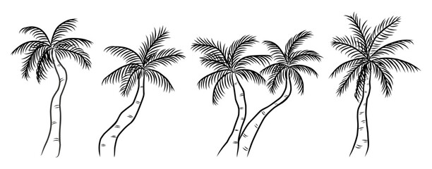 Collection of hand-drawn sketch palm trees Illustrations ideal for tropical-themed designs and backgrounds.