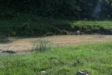 River water flowing through stones and rocks. Mountain river flows through green forest. Wild river flowing through the mountain.