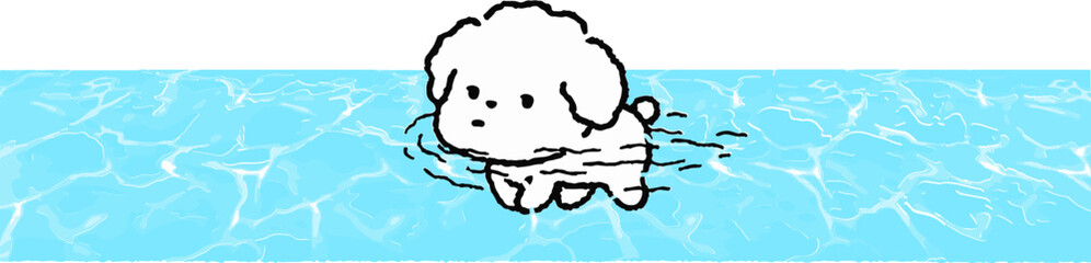 수영 © 평화 김