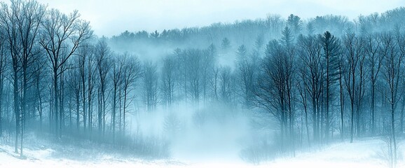Fototapeta premium Misty winter forest scene with snow-covered ground and leafless trees.