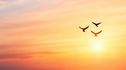 Fototapeta premium Two birds flying together in an orange sunset sky, graceful and free, wide angle