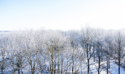 Beautiful small forest in Lund Sweden