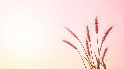 Obraz premium Serene sunset scene featuring delicate wheat stalks swaying gently in the warm breeze