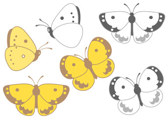 モンキチョウとモンシロチョウ