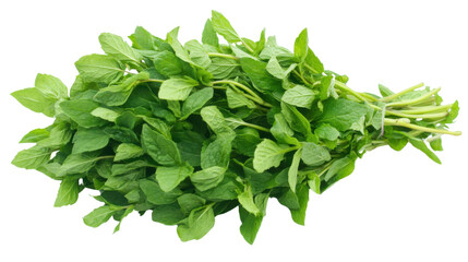 Obraz premium Spinach on transparent background