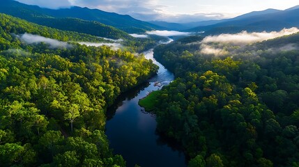 Aerial view River meandering through lush green forest valley at dawn; nature background for travel, tourism