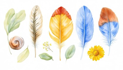 Colorful watercolor feathers and leaves arranged artistically with a snail shell and flower on a white background