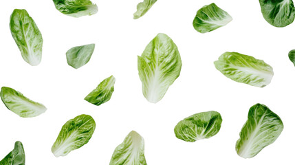 Obraz premium Lettuce leaves on transparent background
