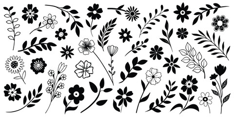 Hand drawn plant elements, flowers and leaves, vector design	