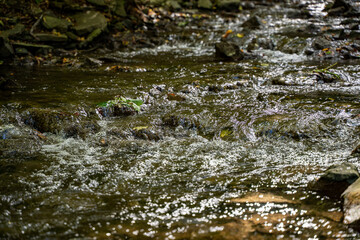 Close up view of water in a stream.