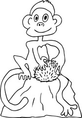 happy monkey sitting on rock looking at camera holding hairy round fruit
