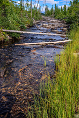 A river with a lot of debris in it