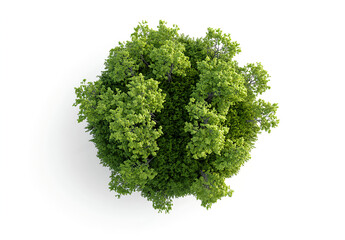 Fototapeta premium A cute little planet with green vegetation and trees on it, against a white background. This 3D rendering has an isometric view, with high resolution, surrealistic elements, and high levels 