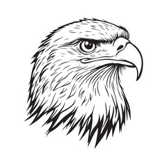 eagle head vector