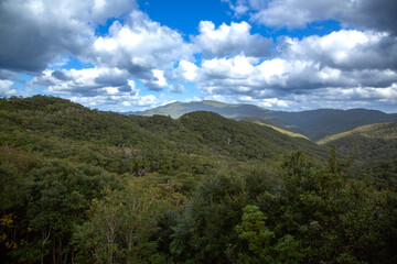 奄美大島・湯湾岳、国指定天然記念物、標高694m