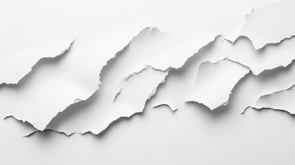 Obraz premium Torn white paper texture background design