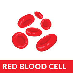 Red blood cells Illustration Design vector