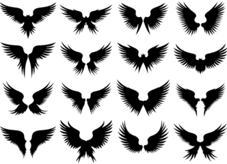 Sixteen silhouettes of wings, black on transparent background