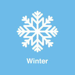 Winter and frost icon concept