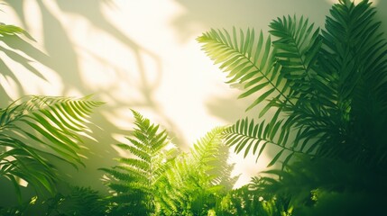 Lush Green Ferns and Palm Leaves Basking in Sunlight