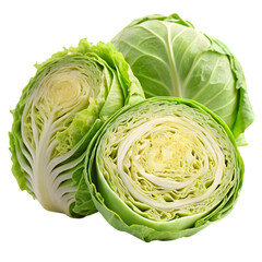 cabbage isolated on white background