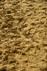 A close-up of bright yellow sand marked with footprints, capturing a peaceful moment