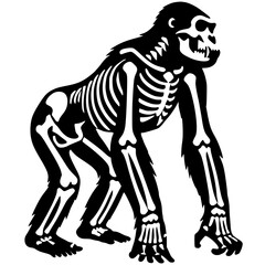 Gorilla skeleton silhouette